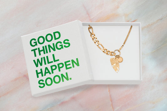 Solid Good Collier/Two In One