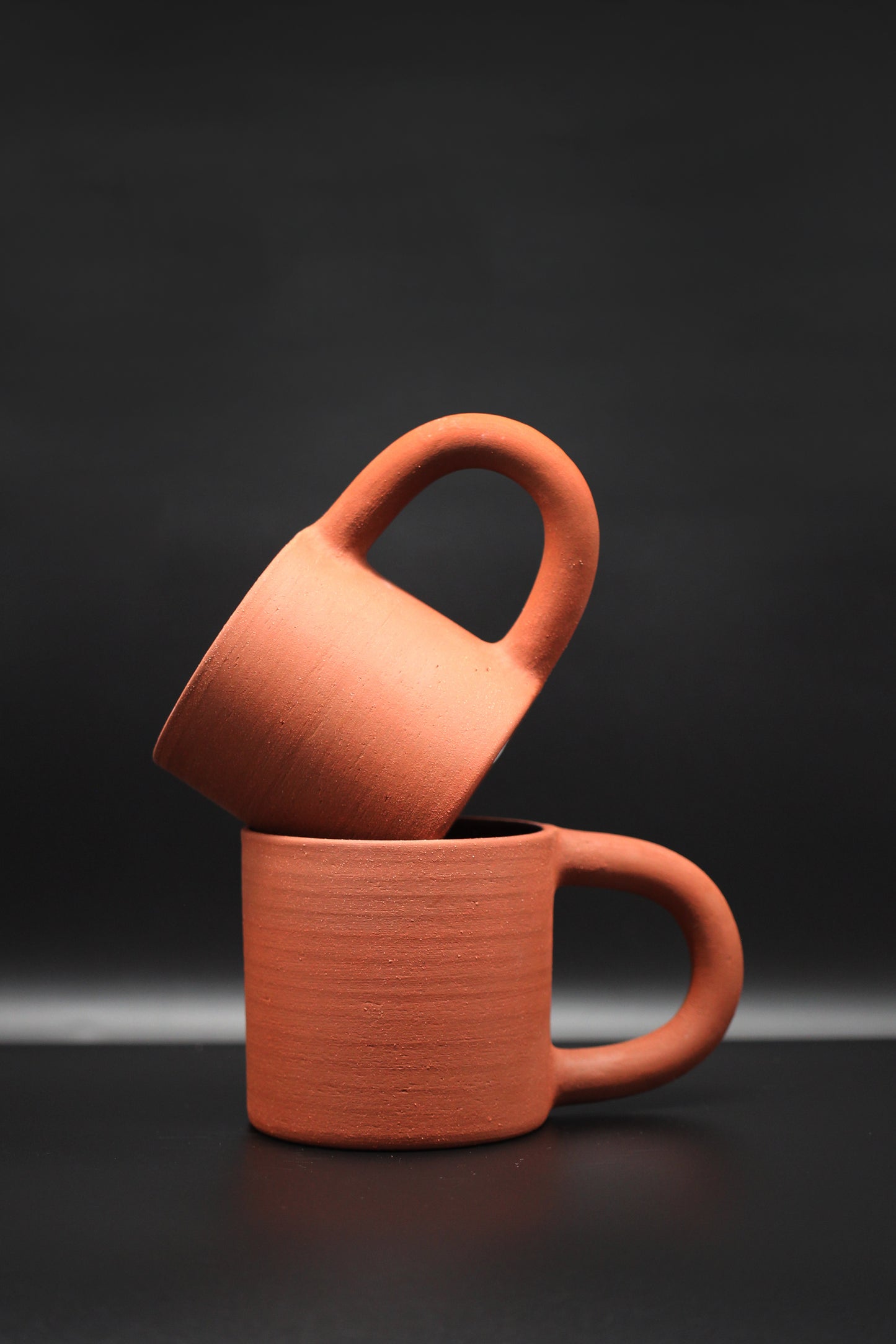 Victoria Fechtner  Mug